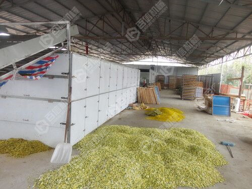 河南菊花烘干機(jī)